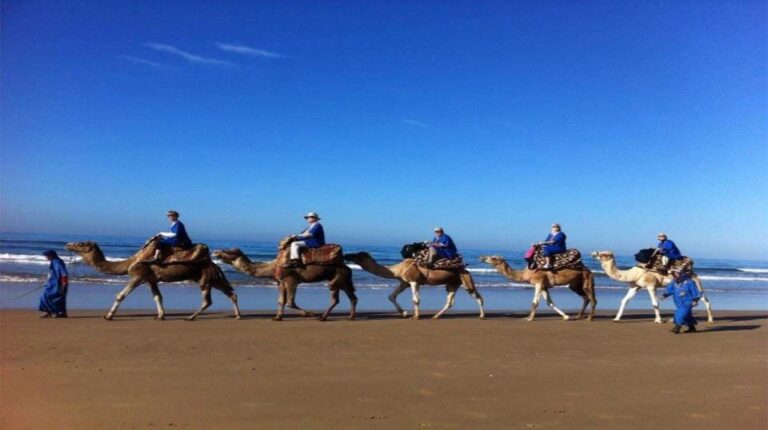 Agadir or Taghazout : Camel or Hourse Riding With Barbecue