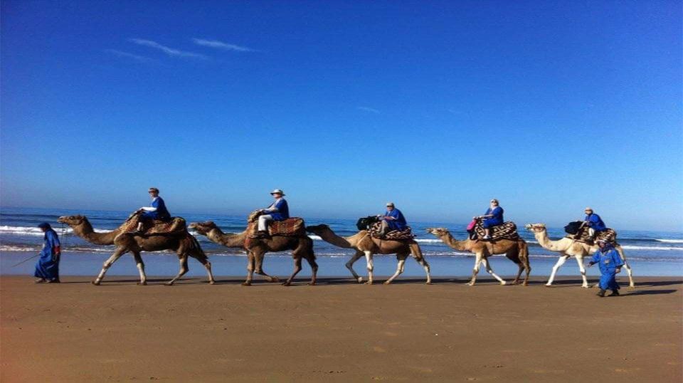 1 agadir or taghazout camel or hourse riding with barbecue Agadir or Taghazout : Camel or Hourse Riding With Barbecue