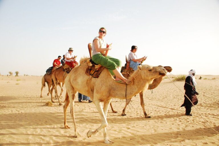 Agadir or Taghazout: Camel Ride Experience