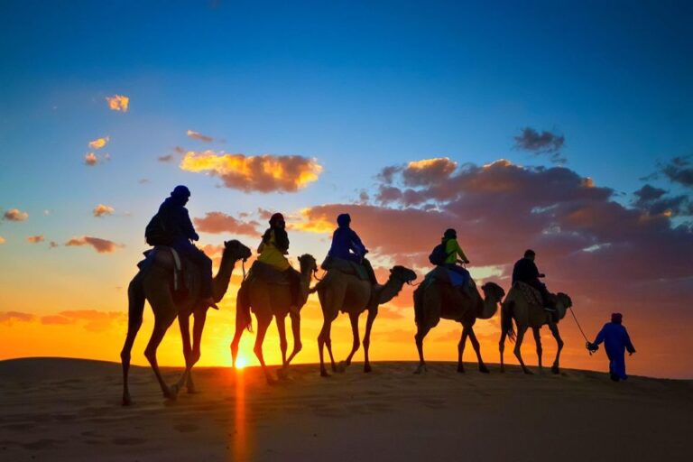 Agadir or Taghazout: Camel Ride Experience in River or Beach