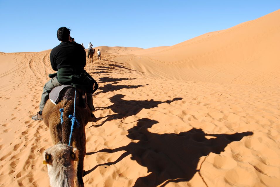 1 agadir or taghazout camel ride in desert sand dunes Agadir or Taghazout : Camel Ride in Desert Sand Dunes