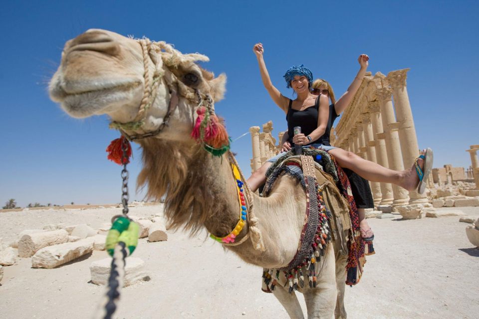 1 agadir or taghazout camel riding and flamingo river tour 2 Agadir or Taghazout: Camel Riding and Flamingo River Tour