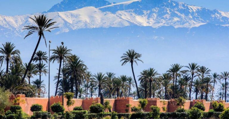 Agadir or Taghazout: Marrakech Trip With Licensed Tour Guide