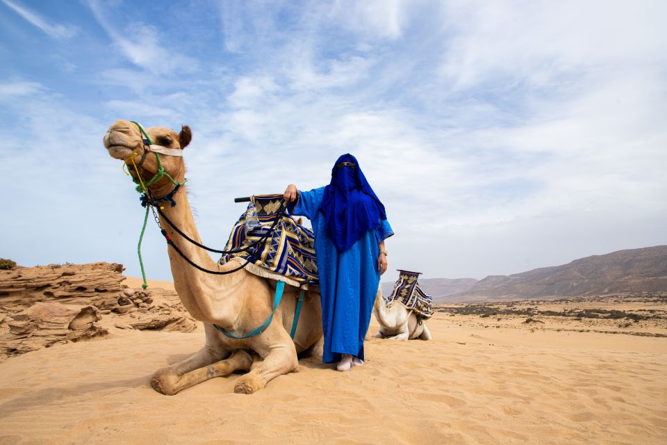 Agadir Private 44 Jeep Safari Desert With Delicious Lunch