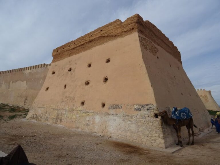 Agadir: Private City Tour With Kasbah & Agadir Museum Access