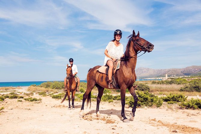 Agadir Small-Group Horseback Ride With Hammam
