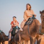 1 agadir sunset camel ride flamingo river bbq couscous Agadir: Sunset Camel Ride - Flamingo River BBQ & Couscous