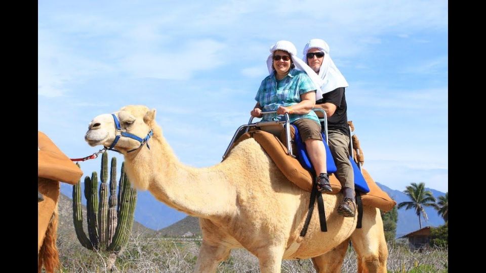 1 agadir sunset camel ride flamingo river tour drink Agadir: Sunset Camel Ride, Flamingo River Tour & Drink