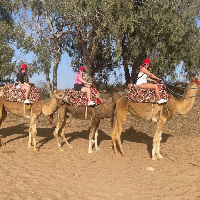 Agadir: Sunset Camel Ride With BBQ and Couscous