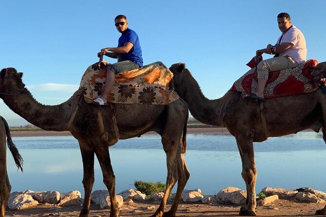 Agadir Sunset Camel Ride With Moroccan Barbecue & Hotel Transfers
