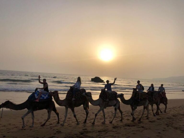 Agadir/Taghazout: Camel Ride on the Beach