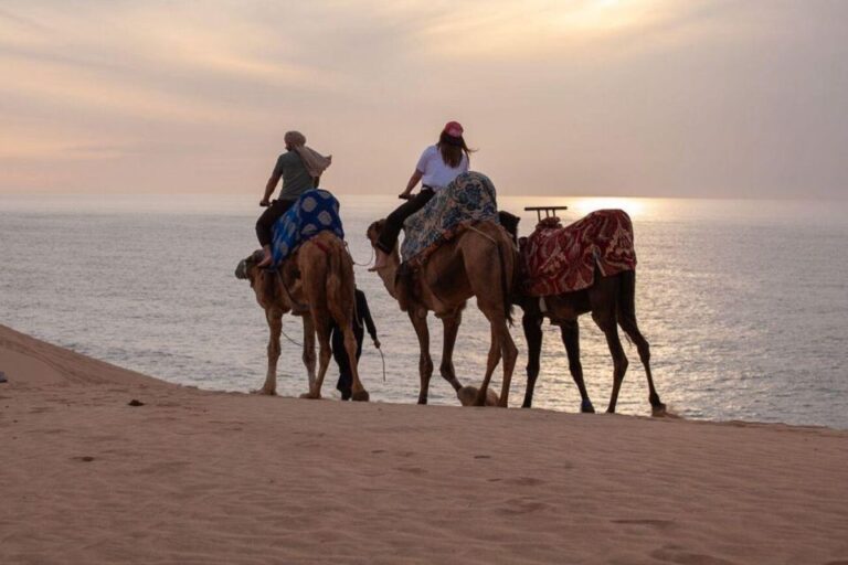 Agadir/Taghazout : Quad Bike & Camel Ride On The Beach
