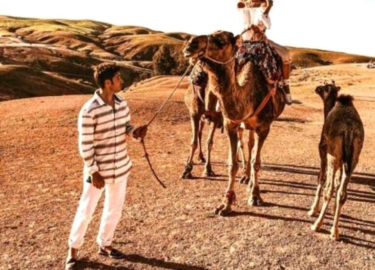 Agafay Desert Camel Ride & Sunset & Dinner