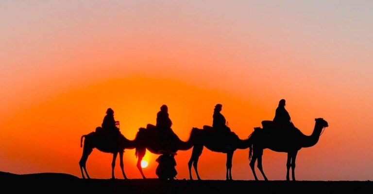 Agafay Desert Camel Ride Sunset Tour With Dinner Show