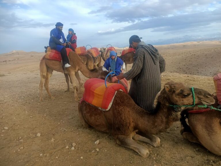 Agafay Desert Quad and Camel Trekking With Dinner