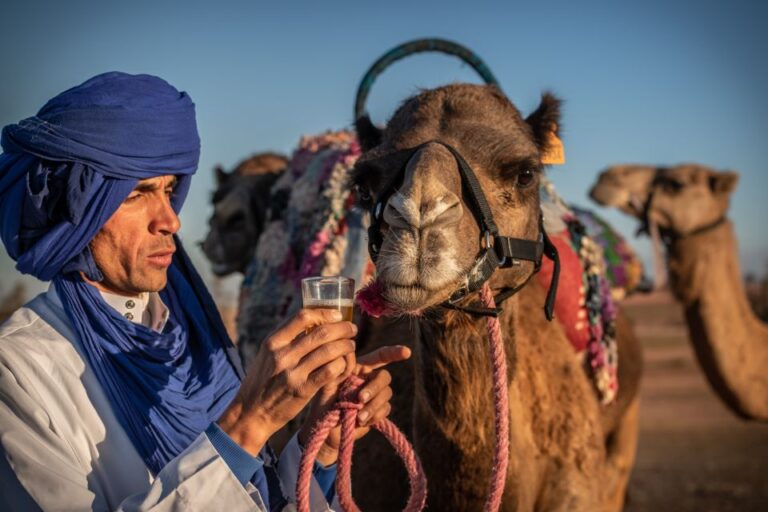 Agafay Desert: Quad Bike and Camel Ride Adventure Tour