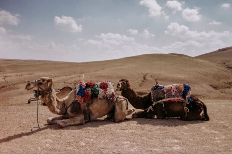 Agafay Desert: Quad Bike & Camel Ride and Dinner Show