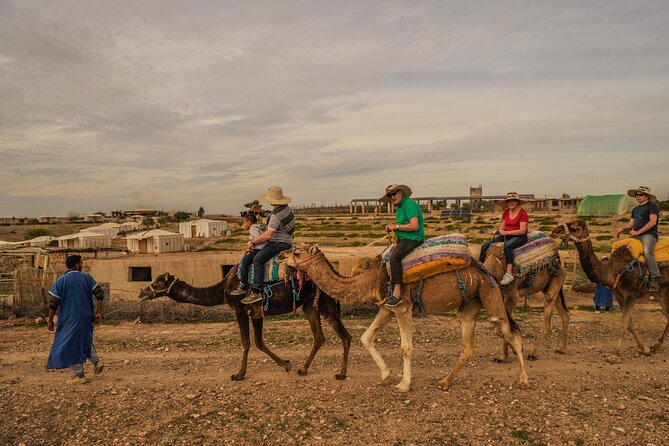 Agafay Desert - Quad, Camel, and Dinner Show - Reviews From Viator and Tripadvisor