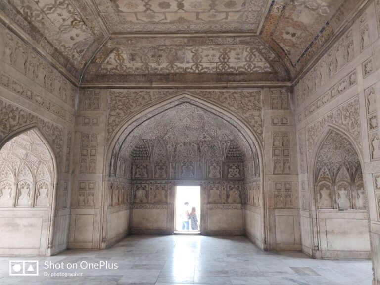 Agra : Taj Mahal With Mausoleum Tickets and Agra City Tour.