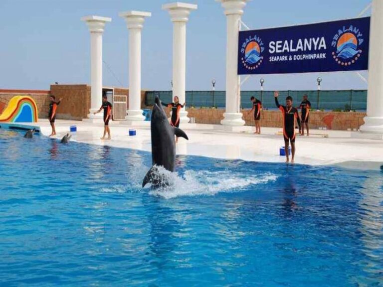 Alanya Dolphin and Seal Show: Magical Adventure