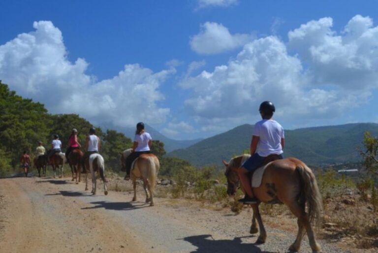 Alanya Horse Riding : Scenic Trails & Coastal Views