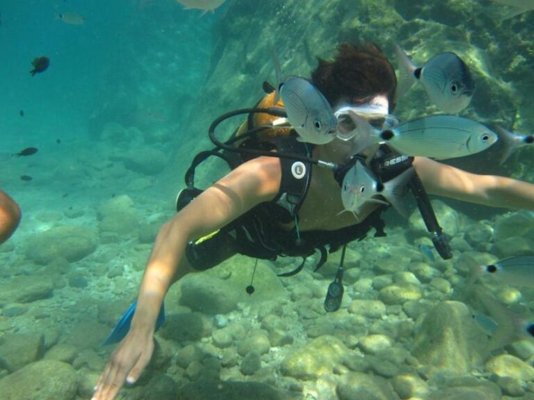 Alanya: Scuba Diving Experience With Lunch