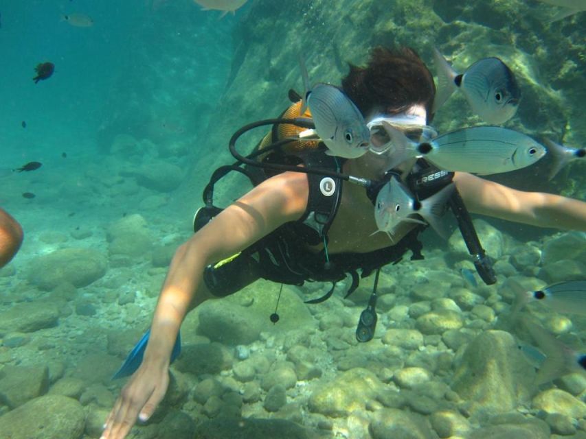 1 alanya scuba diving experience with lunch Alanya: Scuba Diving Experience With Lunch