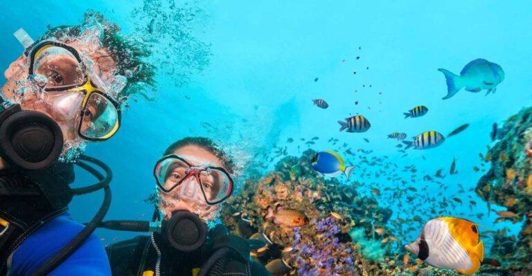 Alanya: Scuba Diving Tour With Lunch