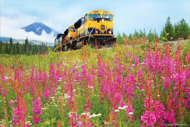 Alaska Railroad Denali to Anchorage One Way