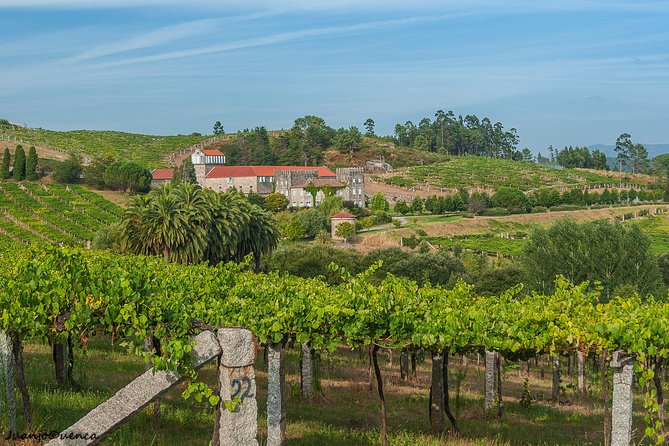 1 albarino trails private wine tour shore excursion from vigo Albariño Trails Private Wine Tour/Shore Excursion From Vigo