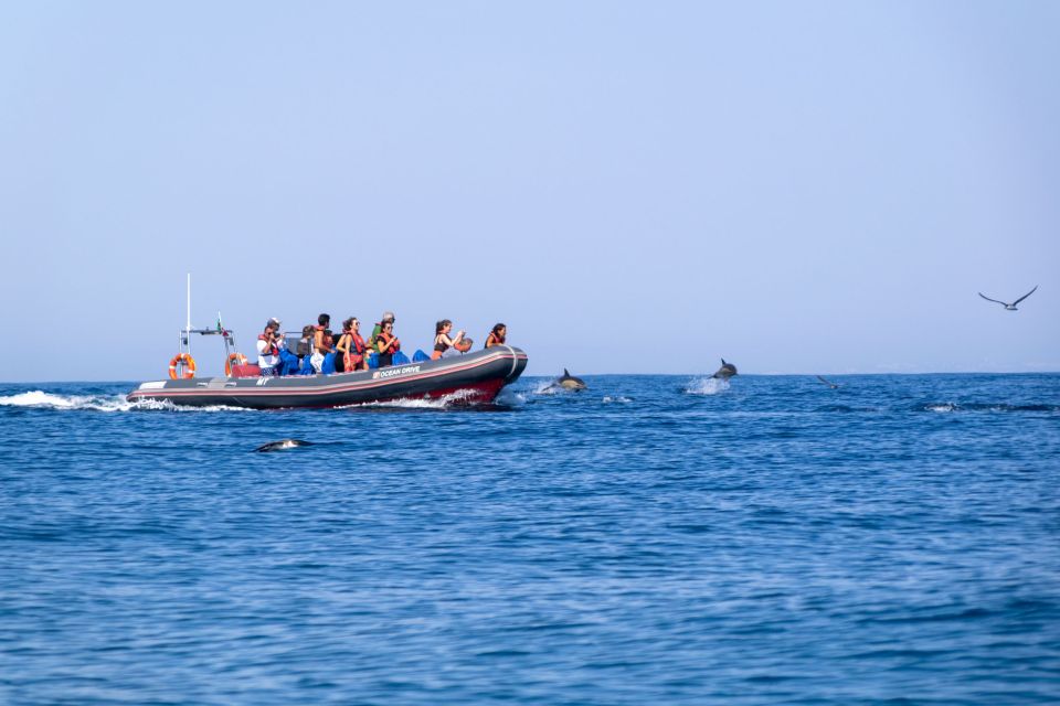 1 albufeira dolphins benagil caves and coastline boat tour Albufeira: Dolphins, Benagil Caves and Coastline Boat Tour