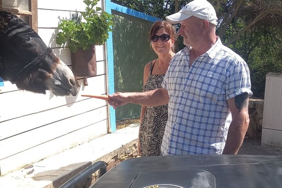 Albufeira Flashback Safari Exploring Villages and Castle - Booking Information