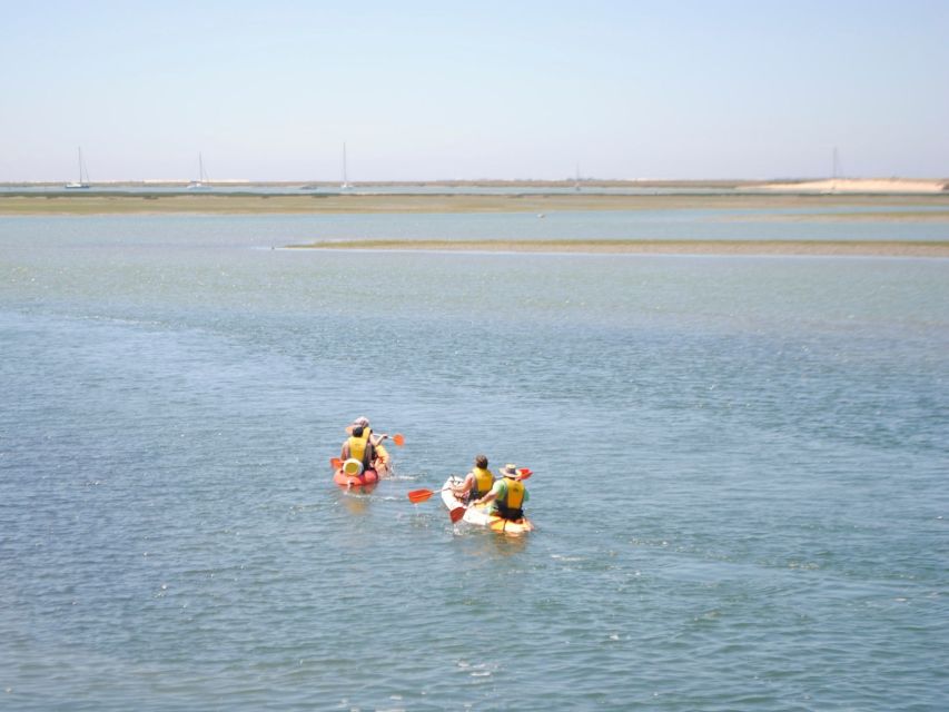 Algarve: 2-Hour Ria Formosa Kayak Tour From Faro - Experience Highlights