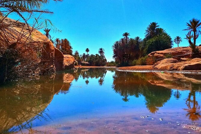 Ali Baba Oasis And The Old Medina Of Taroudant Private Day Tour