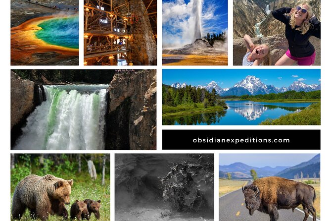 1 all day tour of yellowstone national park All-Day Tour of Yellowstone National Park