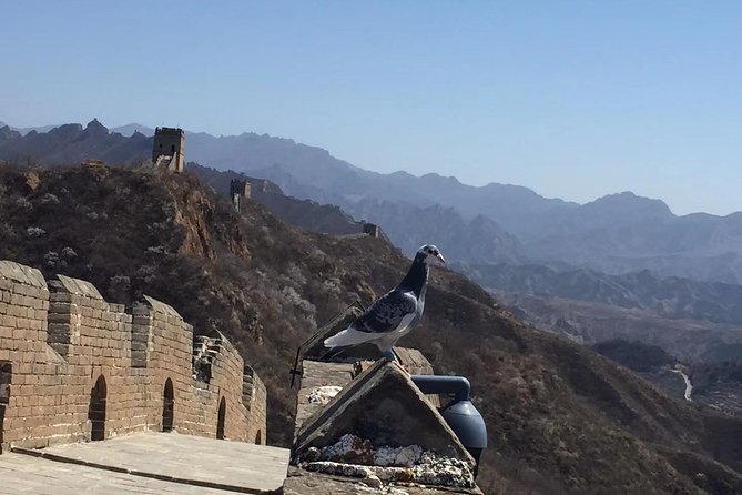 All-Inclusive Private Mutianyu Great Wall Day Tour With Dumpling Lunch