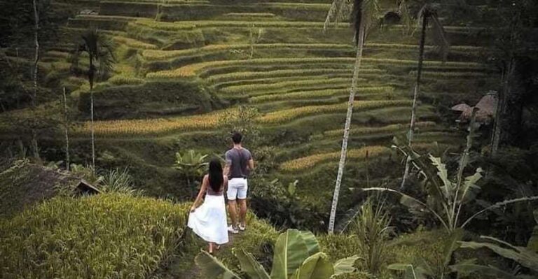 All Inclusive: Ubud Highlights Private Guided Tours