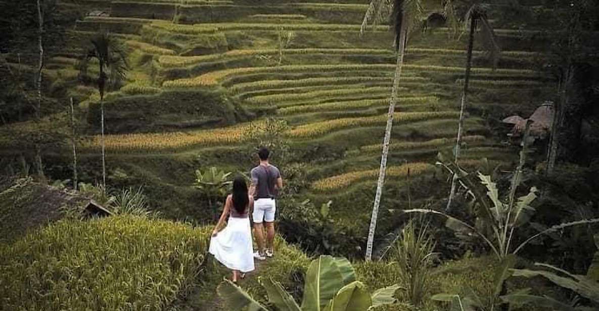 1 all inclusive ubud highlights private guided tours All Inclusive: Ubud Highlights Private Guided Tours