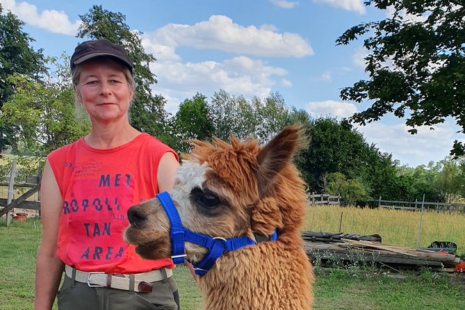 Alpaca Hike in the Barnimer Feldmark