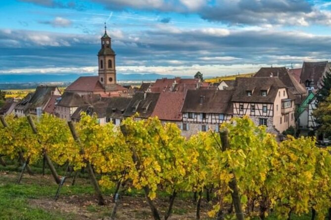 Alsace Private Half-Day Wine and History Tour From Basel - Inclusions