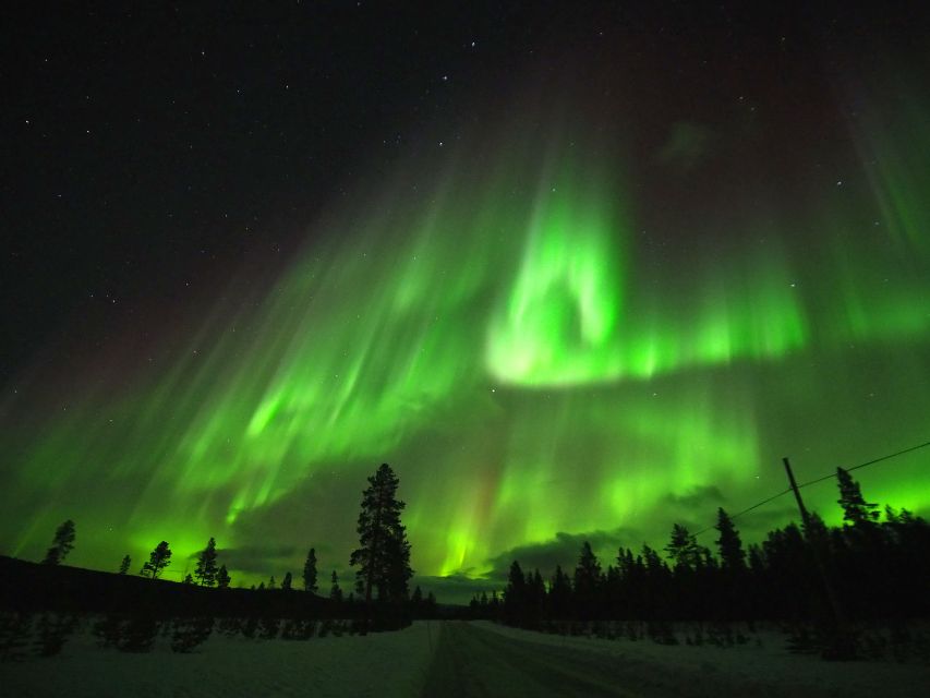 Alta: Small-Group Guided Northern Lights Tour