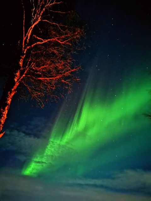 1 amazing aurora with bbq in the best spot in rovaniemi Amazing Aurora With BBQ in the Best Spot in Rovaniemi!