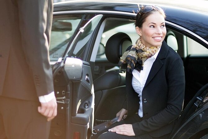 AMS Schiphol Airport VIP Meet and Assist Pickup (with Hotel Private Transfer)