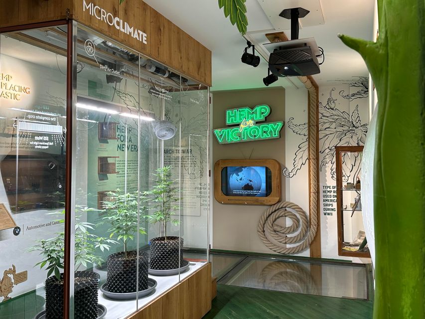 Amsterdam: Cannabis Museum Entry Ticket