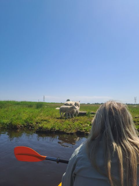 Amsterdam Countryside Bike and Kayak Tour