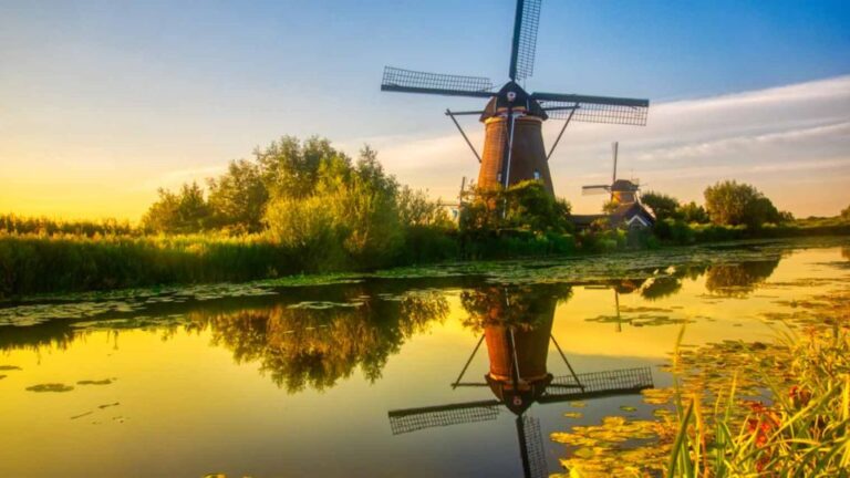 Amsterdam: Kinderdijk & Delft Private Day Trip W/ Transfers