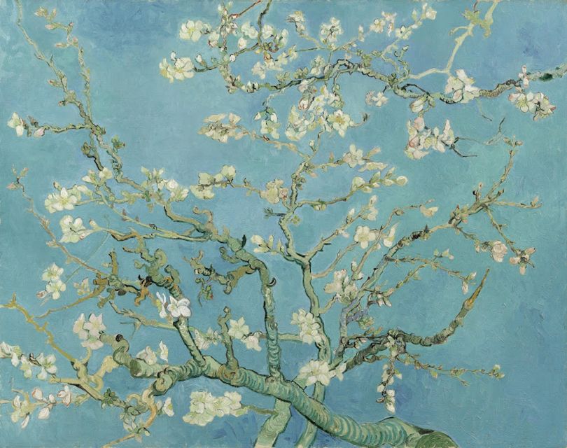 Amsterdam: Van Gogh Museum Entry Ticket and Guided Tour