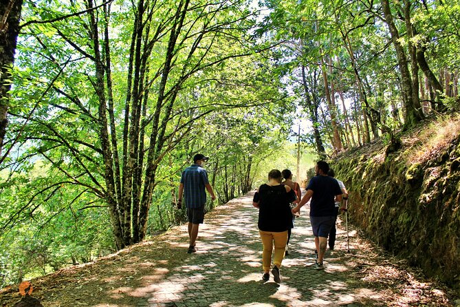 An Adventure Through the Schist Villages of Lousã - Local Gastronomy and Cuisine