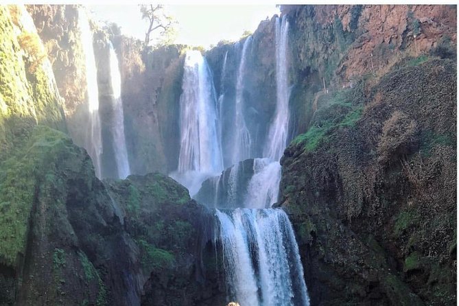 An Unforgettable Ouzoud Waterfall Day Trip From Marrakech
