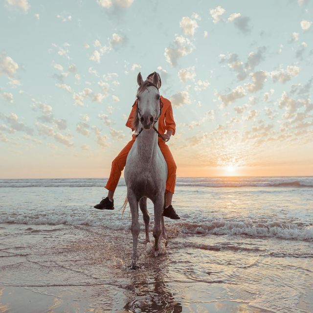 1 antalya forest beach horse riding safari Antalya: Forest & Beach Horse Riding Safari